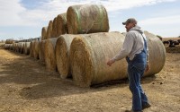 Jared Bossly walks past feed on his ranch in Mansfield, S.D., on Tuesday, March 11, 2025, in one of the counties that a proposed Summit Carbon Solutions pipeline would cut through. 
(Nicole Neri / AP Photo)