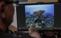 John Warmington points to a photo he took in 2017 of a coral formation at Havannah Harbour, off the coast of Efate Island, Vanuatu, that he once called the "Tree of Life," on Sunday, July 20, 2025. It was toppled by cyclones in 2023 and further damaged by an earthquake in 2024. (Annika Hammerschlag / AP Photo)