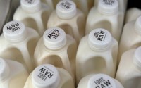 Bottles of raw milk are displayed for sale at a store in Temecula, Calif., on Wednesday, May 8, 2024. 
(JoNel Aleccia / AP Photo)