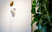 Molly, a singing and dancing mechanical bird, by Bliss Kolb, is displayed at Art of Play, Tuesday, Oct. 13, 2026, in the Brooklyn borough of New York. 
(Yuki Iwamura / AP Photo)