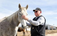 David Anderson greets one of his horses on his farm near Ashland on March 5, 2024. 
(Joseph Saaid / Flatwater Free Press)