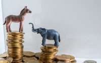 Donkey and elephant on top of stacked coins.
(Shutterstock)