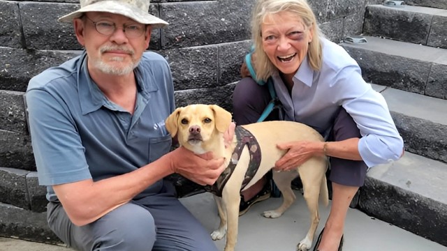 This lady had a car accident near Mahoney State Park. We helped them search for several days by driving, hiking and using the drone. A person messaged with a sighting and “Rhett” was caught.
(Courtesy of LPOOA)
