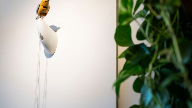 Molly, a singing and dancing mechanical bird, by Bliss Kolb, is displayed at Art of Play, Tuesday, Oct. 13, 2026, in the Brooklyn borough of New York. 
(Yuki Iwamura / AP Photo)